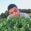 啊玮