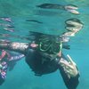 ahua_42