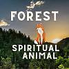 生灵物动 Forest spiritual animal