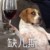 霍尼曼