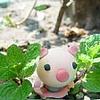 黑噜噜