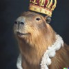 Zuuuud