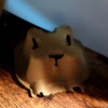 辞辞