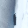 乔