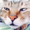 瑶瑶