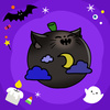 不懂夜的黑猫