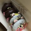 朱识文