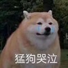 龙