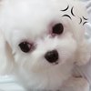 盛爽拓维