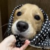 陈萱