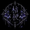 桔梗kikyo