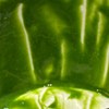 阿波awa