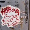 小鸡