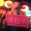 章鱼哥