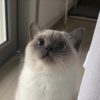 三点水