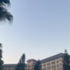 绯白