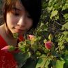 Shin Cheng