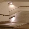 Kiera没吃饱