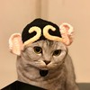 黄儿