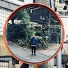 地瓜鸟 SoaAm Kong