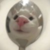 Xnnn