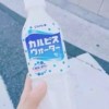 bitter_里wei