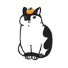 猜猜情寻