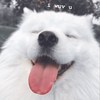 瓶子