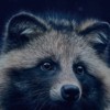 blurjoy