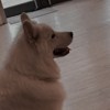 歪歪腻腻