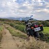 Allen_Lin