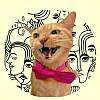 猫毛乐队 Buskercat