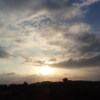 crosa