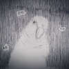 阿信Ashin