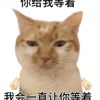 c_什么芋泥