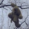 宇宙里迷路的麋鹿