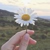 calm_sky_ayf