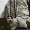 camille_tso