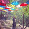 车公庄杰克逊