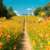 Enjoy life