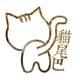 CAT'S TAIL猫尾巴