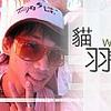 猫羽毛
