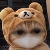 丸丸