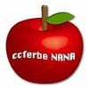 NANA_七号街
