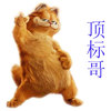 rap简历