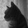 Charlie