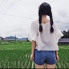 野生小绿