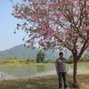 Haung Cheng-yu