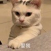 Tessaisagoodgirl