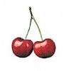 cherryboom